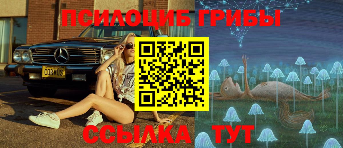 Алексеевка  Псилоцибиновые грибы Cubensis  что такое   Вход с VPN 