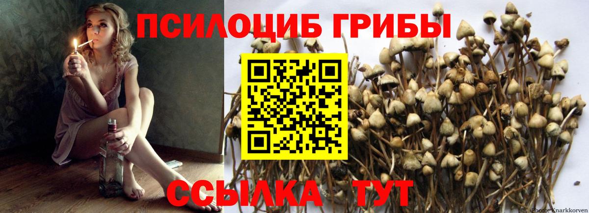 Псилоцибиновые грибы Magic Shrooms Алексеевка